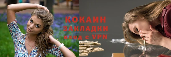 индика Баксан