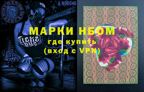 индика Баксан