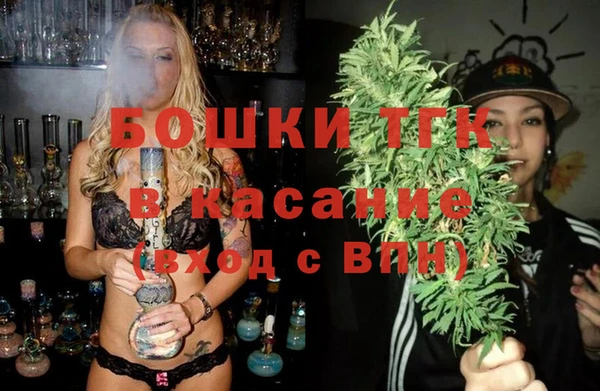 индика Баксан