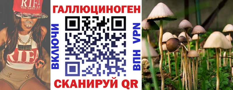 Купить  Ахтубинск  Псилоцибиновые грибы Psilocybine cubensis 