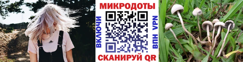 Галлюциногенные грибы мухоморы Ахтубинск